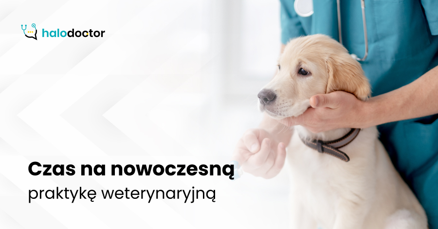 Czas na nowoczesną praktykę weterynaryjną