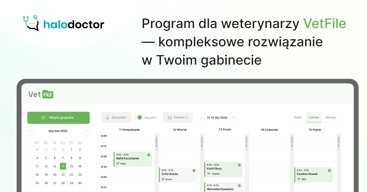 Program dla weterynarzy VetFile — kompleksowe rozwiązanie w Twoim gabinecie