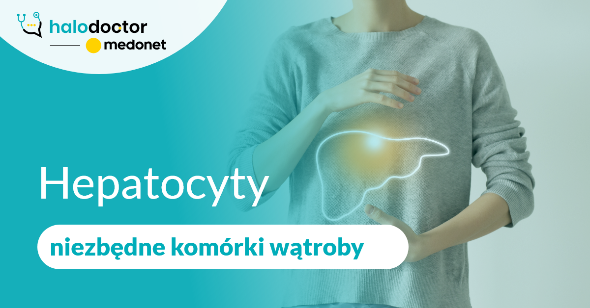 Hepatocyty- niezbędne komórki wątroby